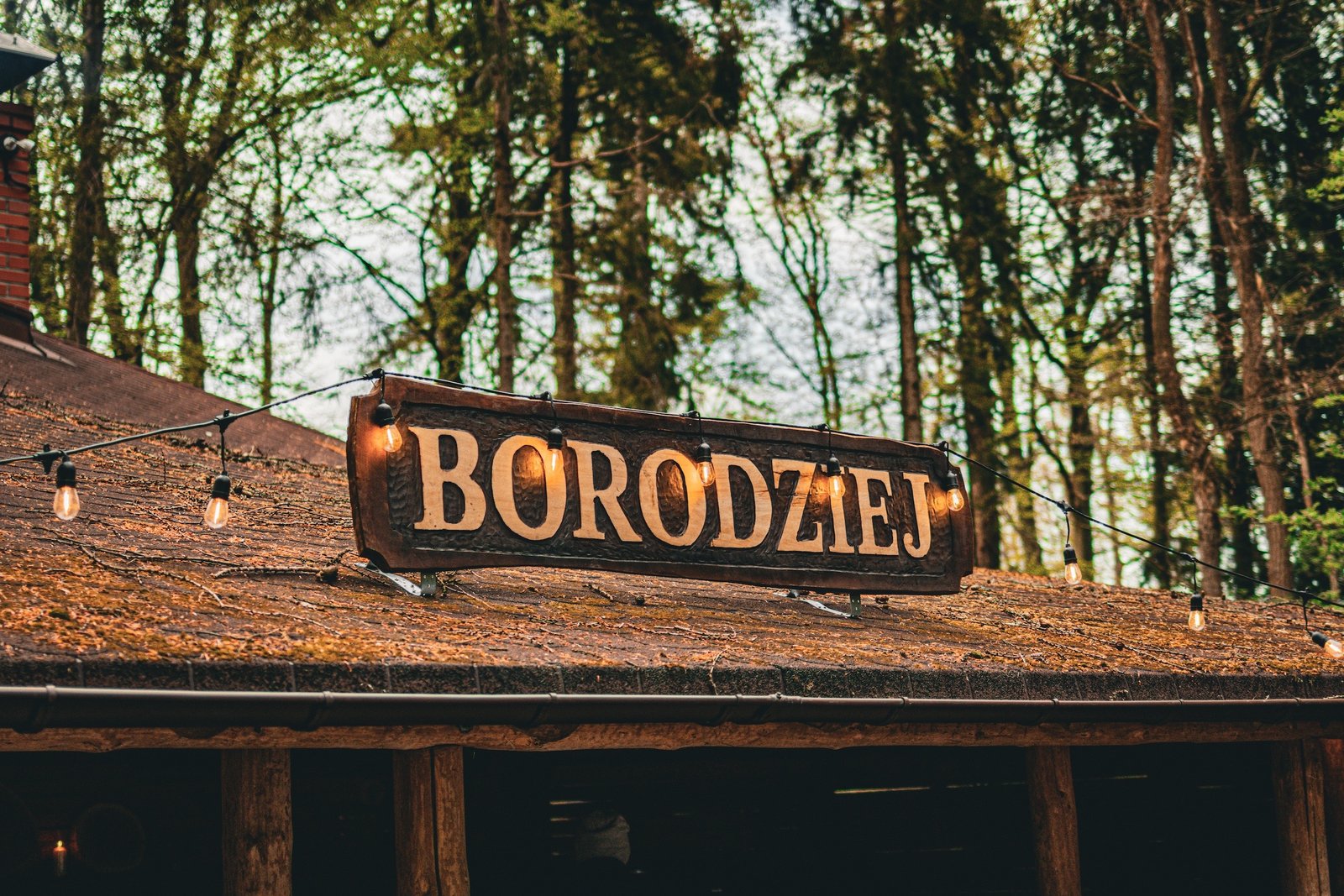 Borodziej - zdjęcie 6